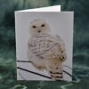 Snow Owl Winter 001 - Card