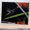 Hummingbird 003 - Card