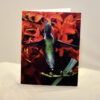 Hummingbird 007 - Card