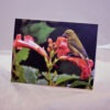 Yellow Finch  006 - Card